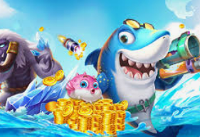 333体育2024最新版