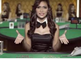 333体育电脑免费版